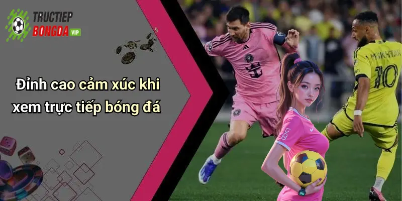 Đỉnh cao cảm xúc khi xem trực tiếp bóng đá