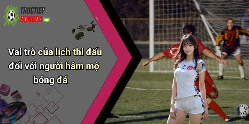 Vai trò của lịch thi đấu đối với người hâm mộ bóng đá