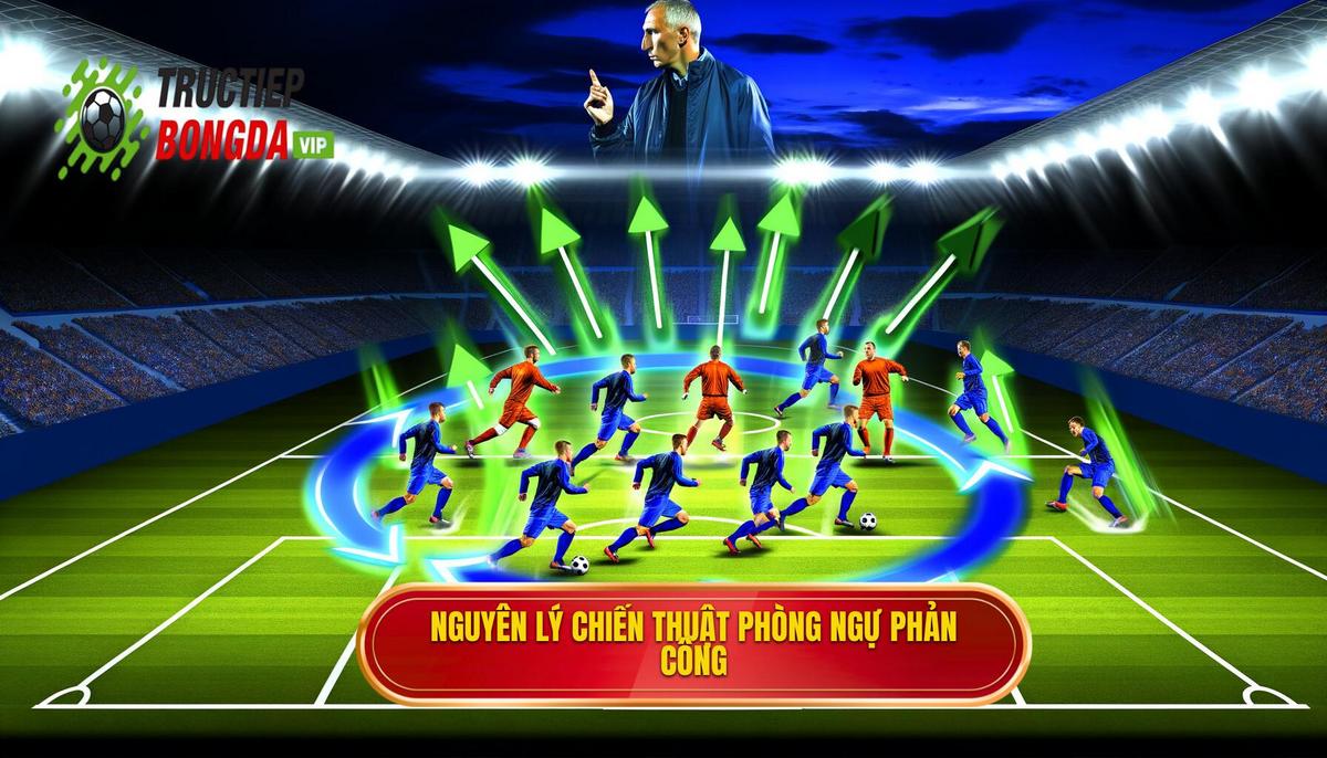 Nguyên lý cơ bản của chiến thuật phòng ngự phản công