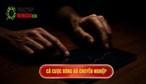thumb - cá cược bóng đá chuyên nghiệp