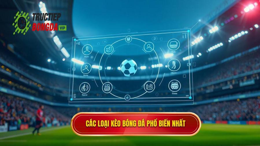 Các loại kèo bóng đá phổ biến nhất