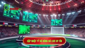 Cập nhật tỷ số bóng đá live uy tín