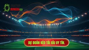 Dự đoán kèo tài xỉu uy tín