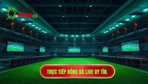 Trực tiếp bóng đá live uy tín