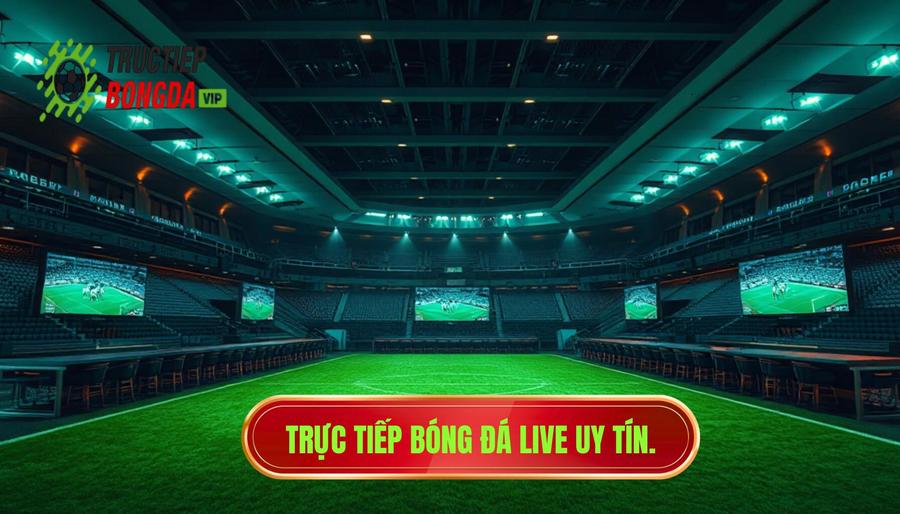 Trực tiếp bóng đá live uy tín