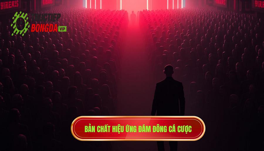 Hiểu bản chất của hiệu ứng đám đông trong cá cược